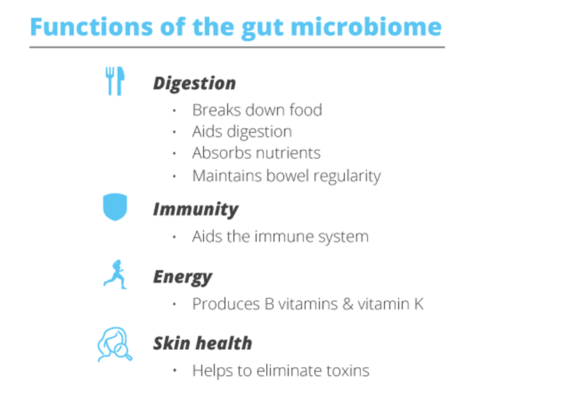 Gut Health All You Need To Know Probiotics Learning Lab
